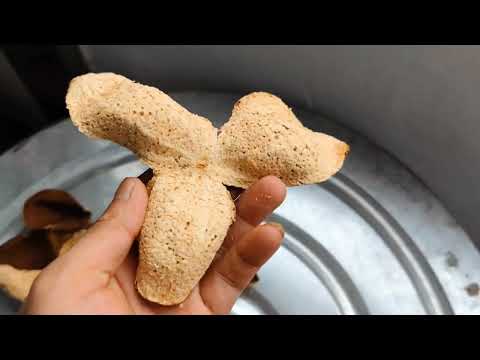 新会陈皮核心区茶坑,参观果园和果农仓库,库存几千斤最老十五年