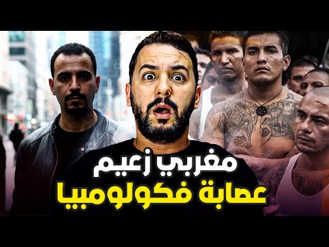 نوفل مغربي زعيم عصابة فكولومبيا ب 500 كيلو cocain