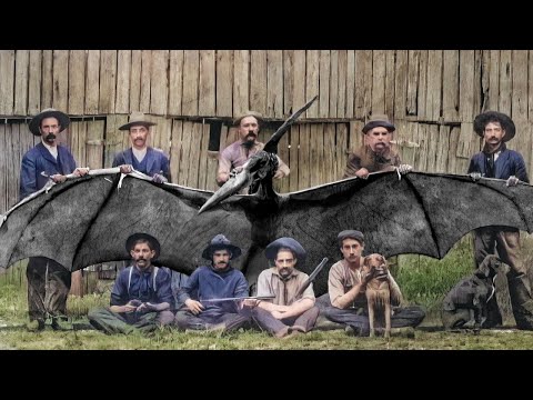 Extinct Animals People Caught On Camera