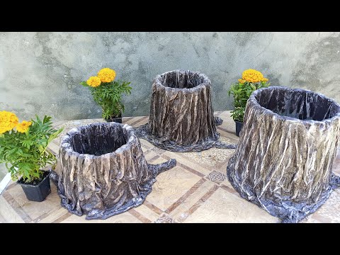 Planter stump from an old bucket and unnecessary things