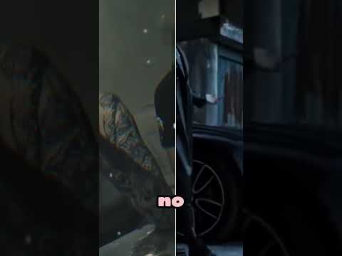 The Industry Will Never Push This Kind Of Female Rap #shark #drillrap #femalerapper