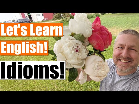 Let's Learn English Idioms on the Farm! A Fun Way to Learn Idioms!