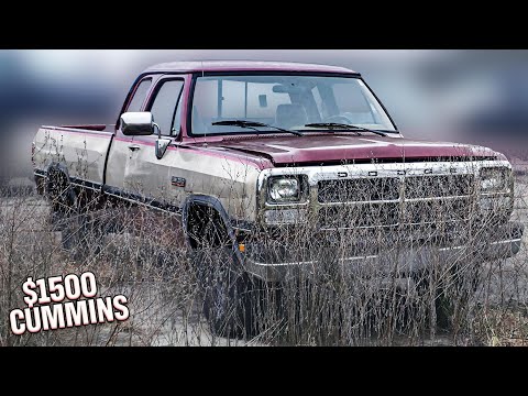 I Bought the Cheapest Cummins in the Country