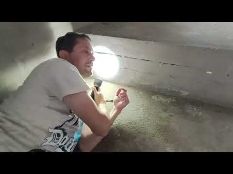 Black Mamba has unbelievable hiding skills!!