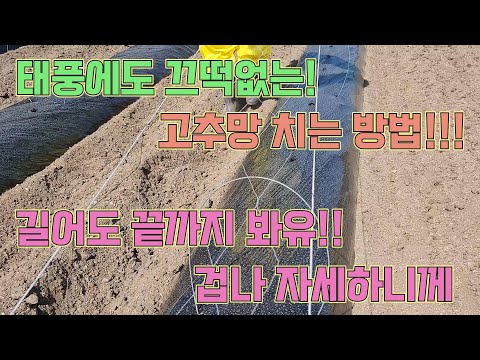 This is how to put on a pepper net!!! You paid money and still can't learn this!! How to grow pep...