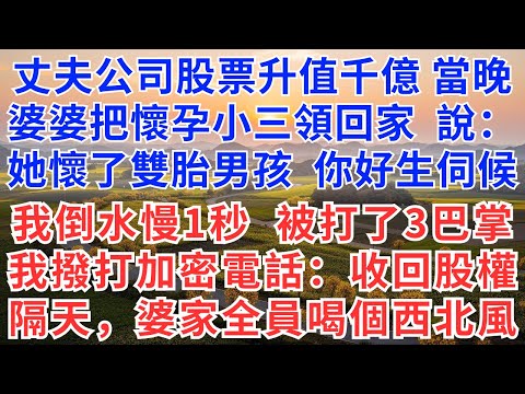 丈夫公司股票升值千億，當晚，婆婆把懷孕小三領回家，說：她懷了雙胎男孩，你好生伺候，我倒水慢了1秒，被打了3巴掌，我撥打加密電話：收回股權，隔天，婆家全員喝個西北風！#慧心家事#為人處世#生活經驗#情感
