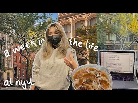 the first week of october at nyu *week in the life*