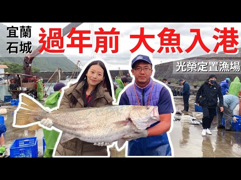 年前超多大魚！過年加菜不用愁了！宜蘭石城光榮定置漁場