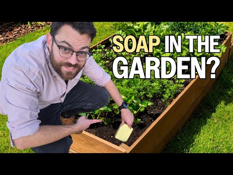 Stupid Garden Tips That Work Surprisingly Well