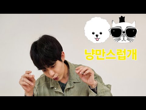 강아지,고양이분양🐶냥만스럽개🐶 라이브 방송