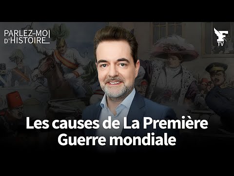 Juillet 1914 : cet engrenage qui a conduit à la Première Guerre mondiale