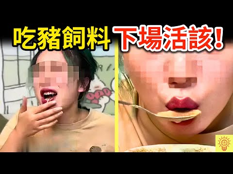 網紅吃豬飼料、用鞋吃飯、還偷住急診室，被網友揭穿識破，下場超活該!