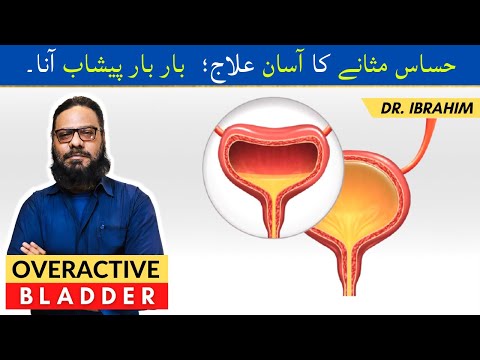 Masana Ki Hassasiat Ka Ilaj | Peshab Bar Bar Aana | Overactive Bladder OAB | Frequent Peeing