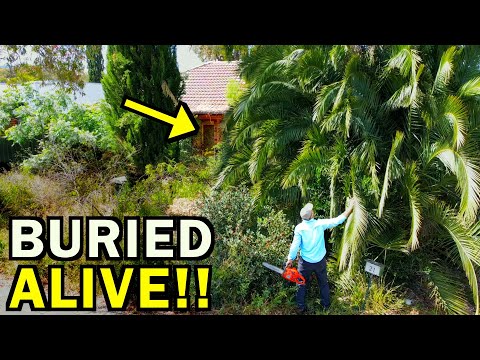 Rescuing An ELDERLY Man LOST IN A JUNGLE — What Happened Next Will Warm Your Heart!