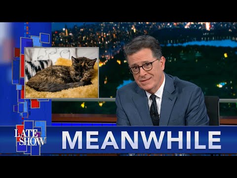 Meanwhile… The World’s Oldest Cat | Siberian Zombie Virus