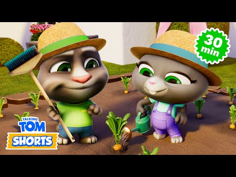 Protect the Environment! 🌎💚 Talking Tom Shorts Compilation