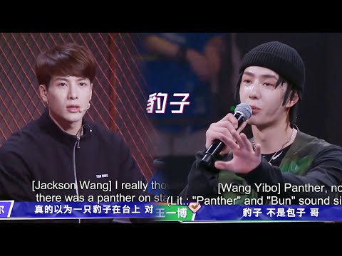 Wang Jiaer saw Wang Yibo's stage and said he was just like Baozi. Wang Yibo: Brother! It's a leopard