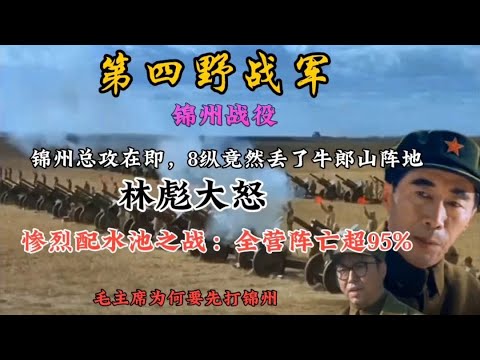 大战在即，林彪却临阵斩将，这可是兵家大忌。配水池之战有多惨烈