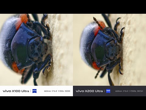 vivo X100 Ultra VS X200 Ultra│Macro Photography &amp; Minimum Distance