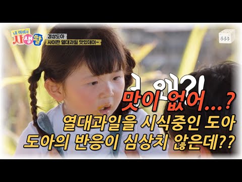 ๋ด ์์ด์ ์ฌ์ํ ์ 27ํ : ์๋น ๋ ๋ง์ด ์์ด..? ์๋น ๋ ๋ฐ๋ก ๋ฑ์ด๋ฒ๋ฆฐ ์ด๋๊ณผ์ผ์ ๋์๋ ๋ค๋คํ๊ฒ ๋จน์ด๋ฒ๋ฆฌ๋๋ฐ?? #๋ด์์ด์์ฌ์ํ #02hby