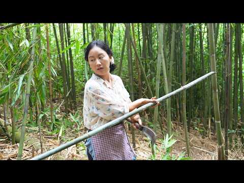Living in seclusion in the mountains,I cut bamboo to build a bed and make fragrant bamboo-tube rice.