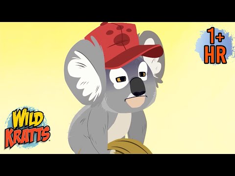 Koalas & Kangaroos 🐨🦘 | Wild Kratts Animal Adventures for Kids | 9 Story Kids