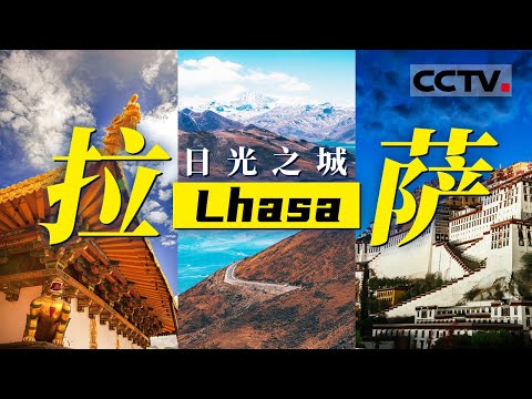 “日光之城”拉萨：处处充满着神圣与虔诚！大昭寺 布达拉宫 八廓街......这座天空之城遍地都是宝藏！【CCTV纪录】