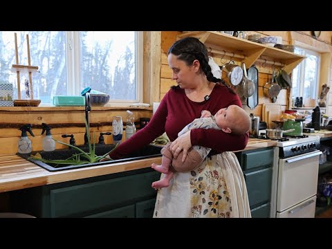 Catching Up in The Cabin | Chickens Are Laying + Preserving Garden Potatoes