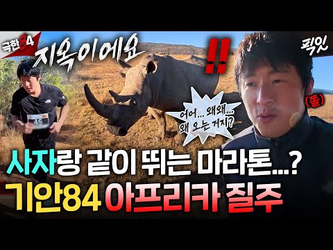 [극한84] 결국 갈 데까지(?) 간 기안..ㅋㅋㅋ 코뿔소와 자만추 가능한 아프리카 마라톤 첫 도전기ㅣ#기안84 MBC251130방송