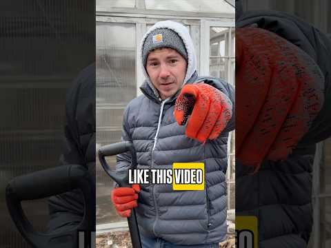 Thanks for Supporting me under your cozy blanket π¬π