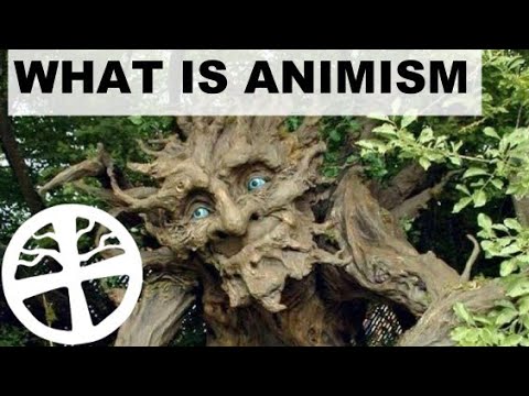 What is Animism