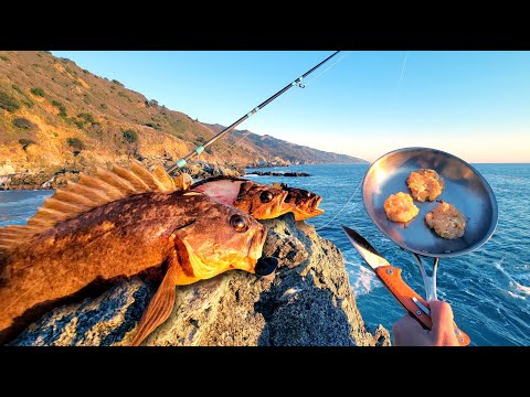 Catch and Cook on the Rocks