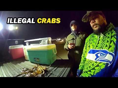 Every Crab They Kept Was Illegal - Washington State