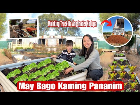 May Bago kaming Set Up Na Pananim Sa Aming Backyard|Marami Ng Gulay