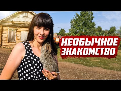 What an unusual encounter led to | Orenburg Region, Buguruslan District, Grigoryevka village