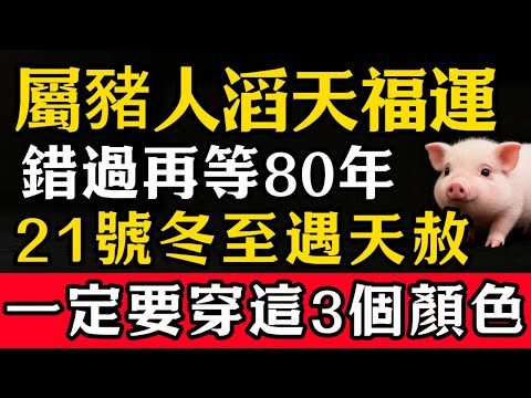屬豬人，錯過再等80年，12月21號，農曆十一月初二是「金匱生財日」，同時是冬至日，也是天赦日，一定要穿這3個顏色的衣服！#張天師道法#屬相運勢#生肖#家運#生肖運勢的那些事#先知#風水變化#提升運勢