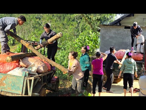 Agricultural vehicle,kind girl helps villagers transport corn and firewood &dangerous road #kindness
