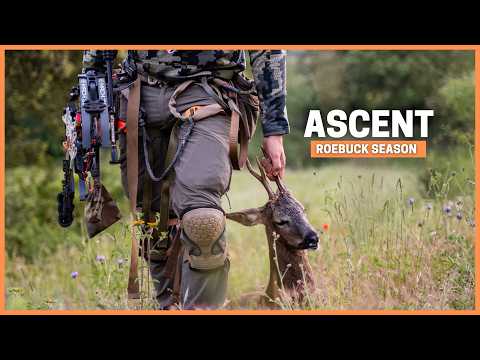 I Applied American Bow Hunting Tactics in Europe… Did They Work?