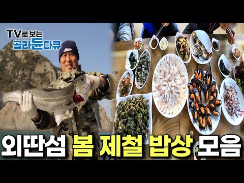 전국 각지 외딴섬 봄 제철 한상차림|지역마다 다른 특산물로 차려진 봄 가득 한상 모아보기|한국기행|#골라듄다큐