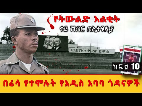 በሬሳ የተሞሉት የአዲስ አባባ ጎዳናዎች||የትውልድ እልቂት!||ቀይ ሽብር በኢትዮጵያ||ሜዳ ትረካ||ክፍል 10||ጸሀፊ፡ ባቢሌ ቶላ||ትርጉም፡ አውግቸው ተረፈ
