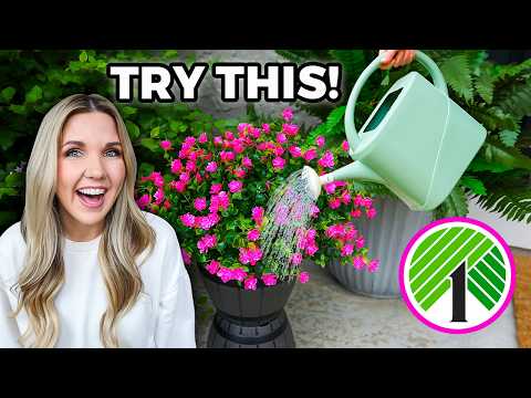 The Genius Dollar Tree Trick That Totally Upgraded My Outdoor Space