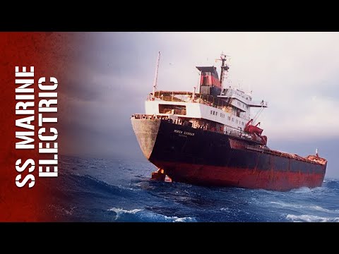 This Disaster Was Years in the Making