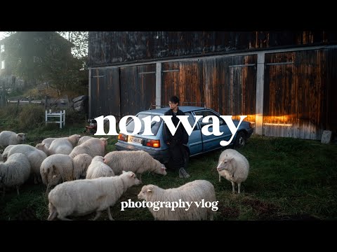 Norway Road Trip | Exploring Mountains, Farm Stays, and Chasing the Northern Lights!