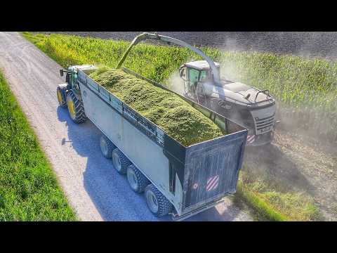 CORN SILAGE 2025 CLAAS JAGUAR 970 WARRIOR EDITION CHOPPING CORN