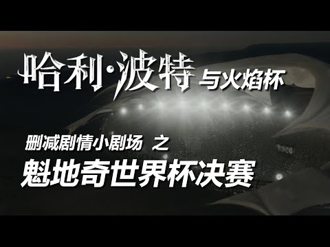 《哈利波特與火焰杯》刪減劇情之魁地奇決賽！還原原著第八章！