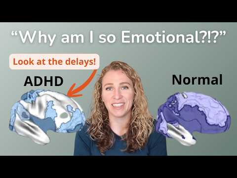 The Neuroscience of ADHD and Emotional Dysregulation