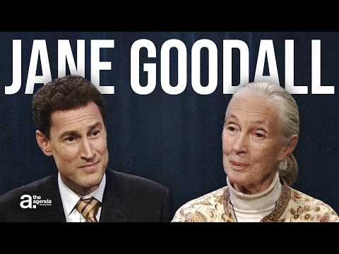 Dr. Jane Goodall: What Chimpanzees Taught Me About Being Human