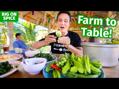 Thai Food - Backyard Food Farm! 100 Edible Ingredients Garden in Chiang Rai, Thailand!