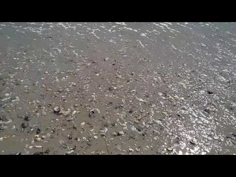 Wrightsville Beach after Hurricane Matthew in Wilmington North Carolina