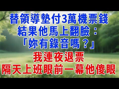 替領導墊付3萬機票錢，結果他馬上翻臉：「妳有錄音嗎？」，我連夜退票，隔天上班眼前一幕他傻眼！#人生感悟 #故事分享 #生活經驗 #故事頻道 #职场 #打脸